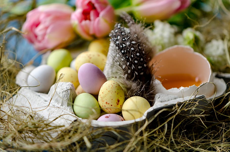 happy easter, easter eggs, lay eggs, chocolate egg, chocolate eggs HD wallpaper