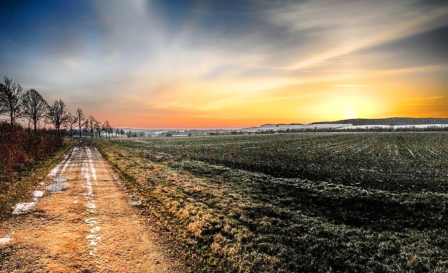 road beside trees during golden hour, sun, sunshine, sunset HD wallpaper