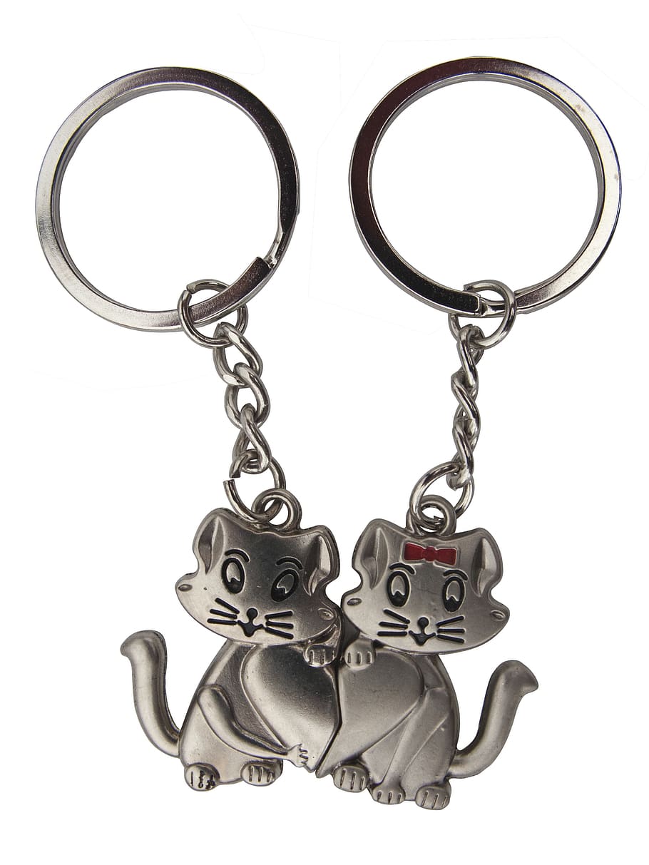 cats, door-keys, double, white background, studio shot, indoors, HD wallpaper