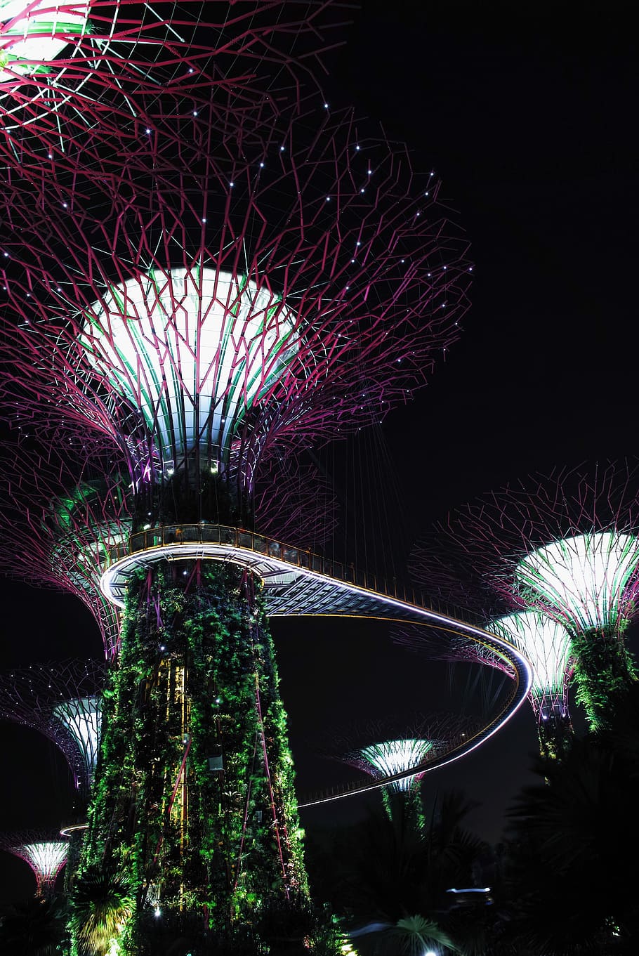 Gardens by the Bay, Singapore, Garden by the Bay, Singapore, illuminated, HD wallpaper
