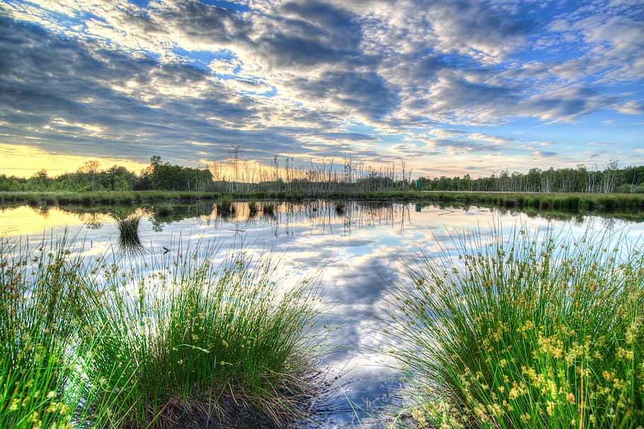 green grass on body of water, Sunset, Colorful, Reflection HD wallpaper