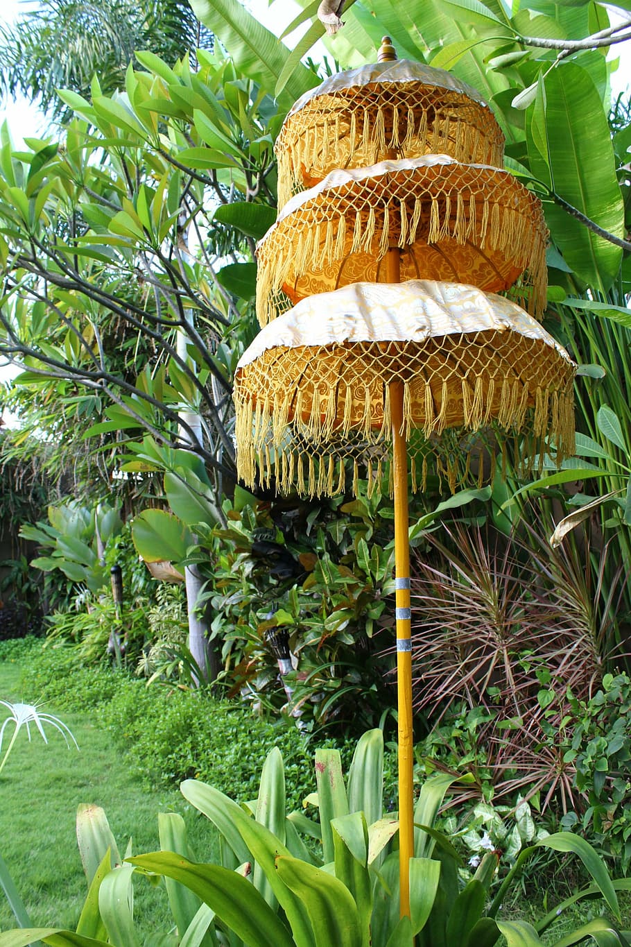 bali, umbrella, three-layer, nature, plant, growth, beauty in nature HD wallpaper