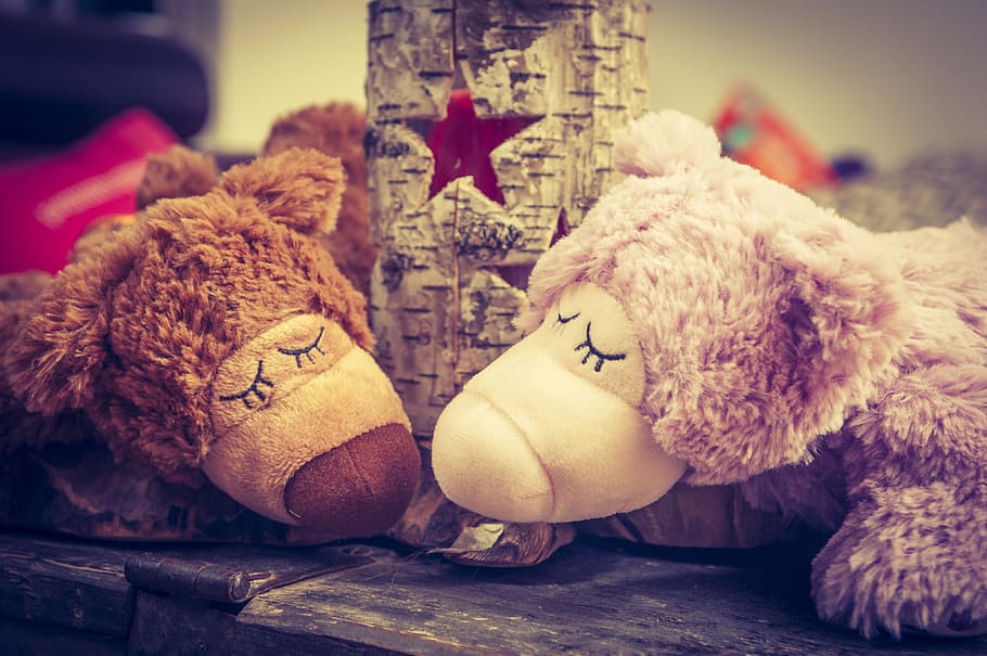 Teddy Bear, Sleep, Rest, star, togetherness, trustful, enjoy HD wallpaper