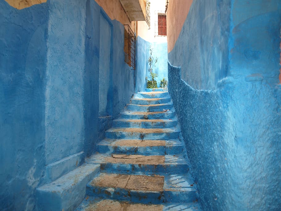 blue and white houses near staircase, chefchaouen, typical, morocco