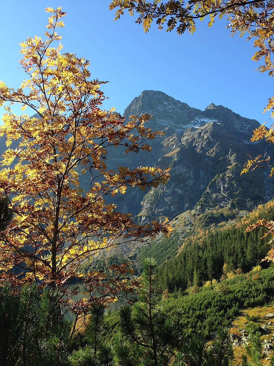 mountains, tatry, autumn, the high tatras, landscape, nature, HD wallpaper