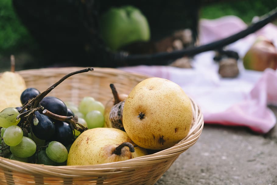 fruit, basket, harvest, grape, autumn, apple, outdoors, la france HD wallpaper
