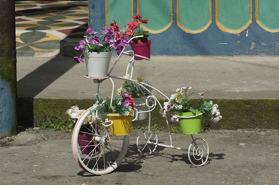 nature, finlandia, colombia, people, flowering plant, transportation, HD wallpaper