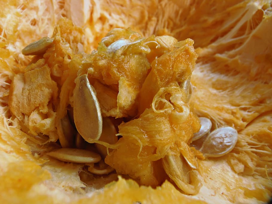 pumpkin pulp, macro, seeds, yellow, dessert, autumn, food, food and drink HD wallpaper