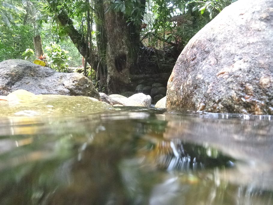 rio, agua, nature, stone, water, rock, rock - object, tree HD wallpaper