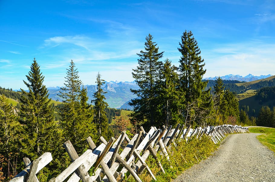 hiking, trail, distant view, away, fence, alpine, switzerland HD wallpaper