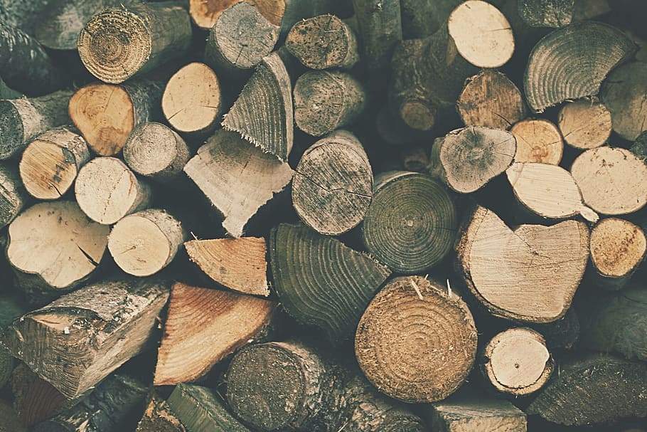 piled brown firewood lot, material, burn, pieces, annual, rings HD wallpaper