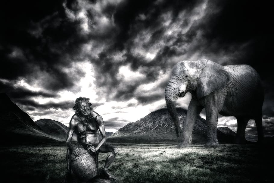 elephant, bacchus, mammal, cloud - sky, animal wildlife, vertebrate HD wallpaper