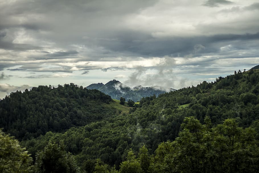 aerial photo of forest, mountain, valley, sky, landscape, nature HD wallpaper