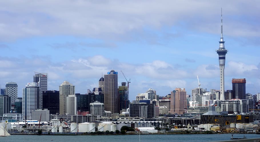 city buildings during daytime, auckland, skyline, new zealand, HD wallpaper