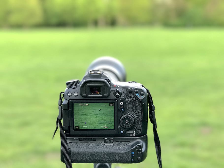 black DSLR camera near grass field, Photography, Canon, Eos, Nature