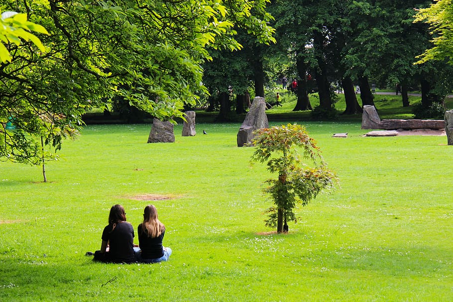 park, grass, nature, summer, green, outdoor, landscape, field HD wallpaper