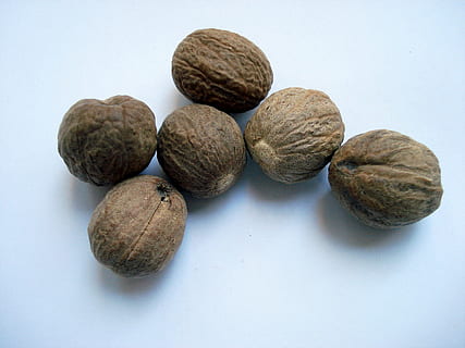six brown nuts on white surface, nutmeg, muskat, food, fruit HD wallpaper