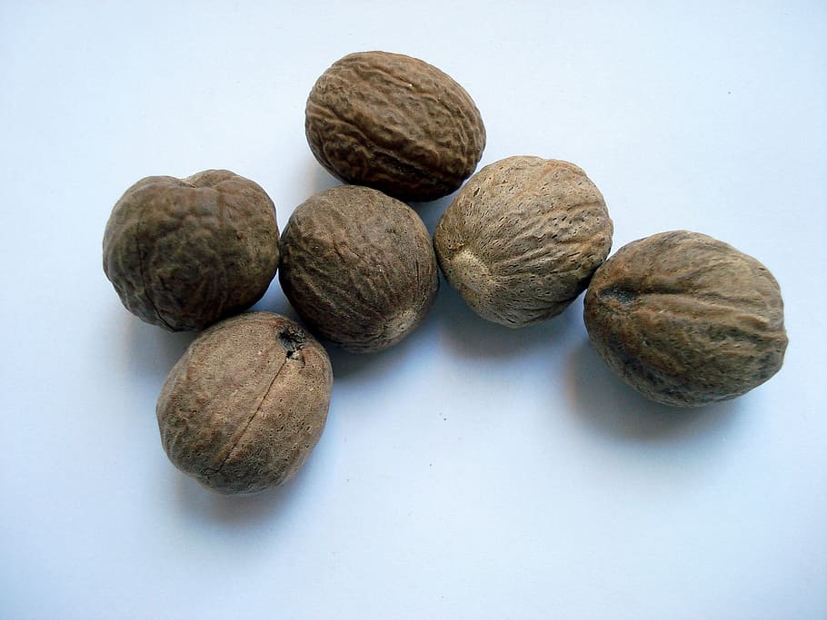 six brown nuts on white surface, nutmeg, muskat, food, fruit HD wallpaper