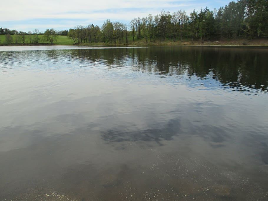 šumava, water, dam, nature, czech republic, bathing, water-level