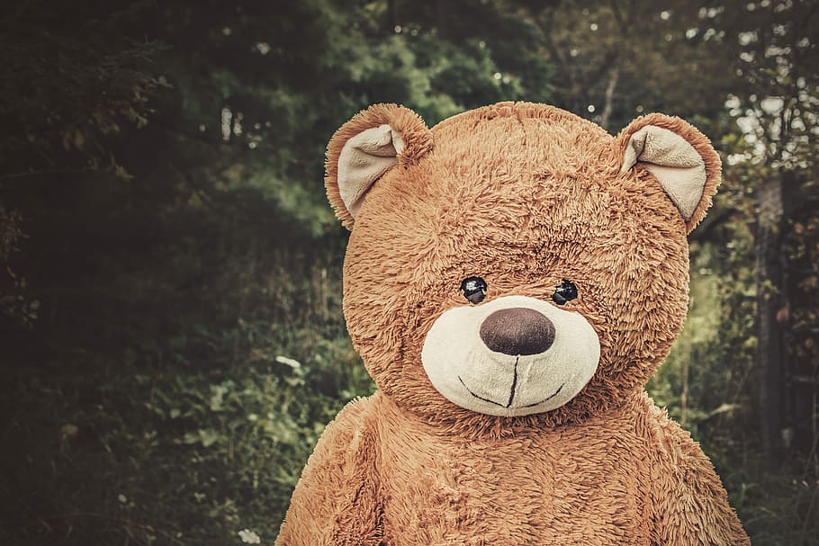 life-size brown bear plush toy standing outdoor, nature, animals, HD wallpaper