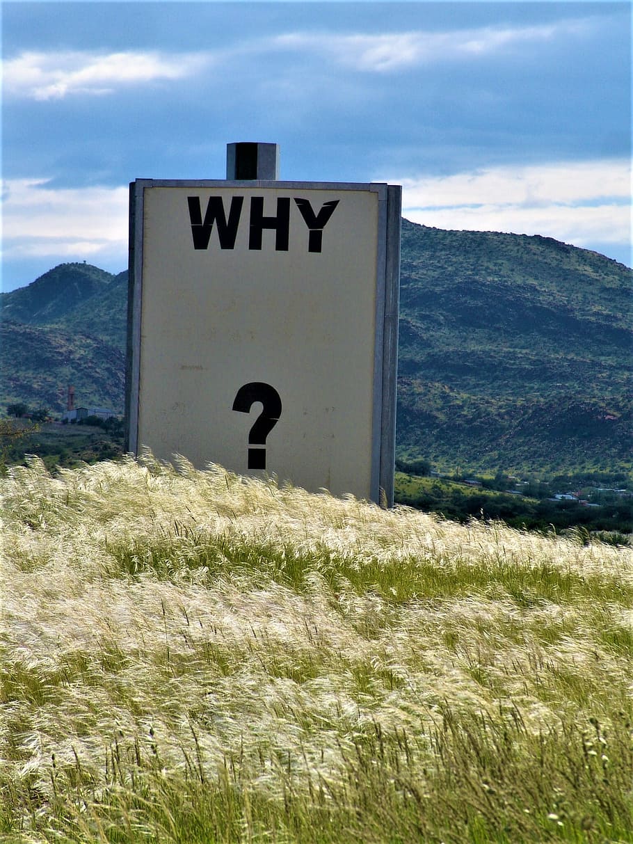 Why? signage near grass during daytime, why signage on green field HD wallpaper