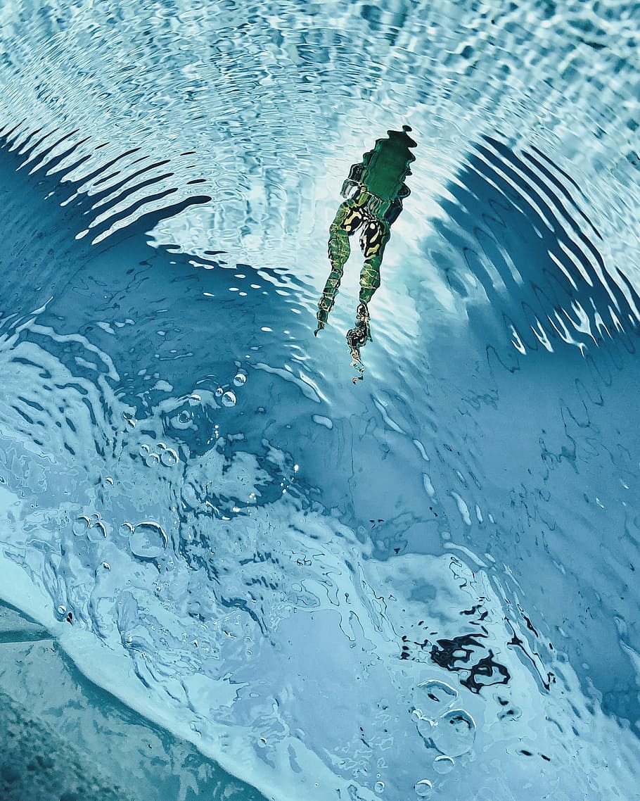 high-angle photography of green frog swimming on clear water, clear body of water HD wallpaper