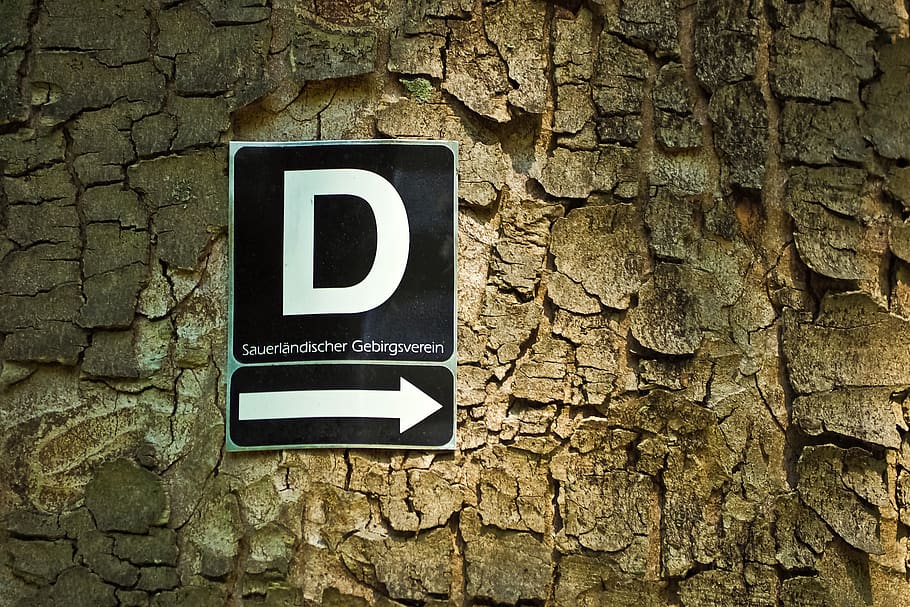 tree, bark, log, nature, structure, brown, wood, tribe, shield HD wallpaper
