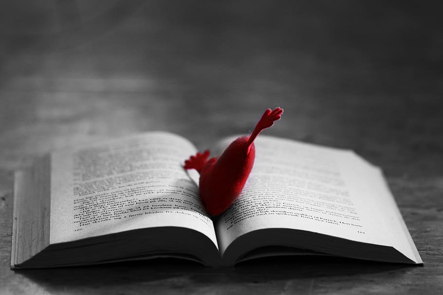 heart, pillow, tiny, book, love, red, romance, publication HD wallpaper