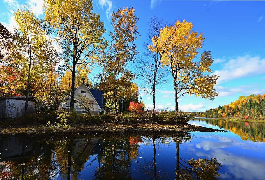 water reflection of white house beside trees nature photography HD wallpaper