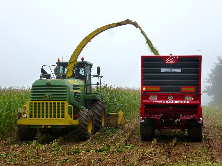 Work, Harvest, Agriculture, Worker, cornfield, production, crops HD wallpaper