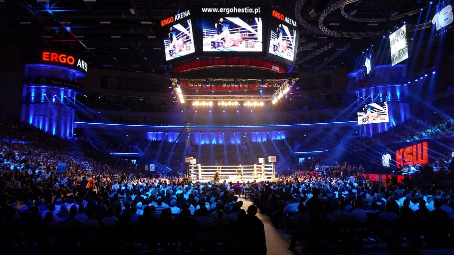 boxing ring, gdansk, poland, arena, venue, sports, architecture