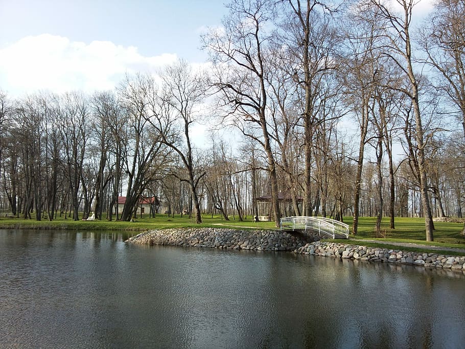 Forest, Park, Trees, Evening, Lake, nature, footbridge, bare tree HD wallpaper