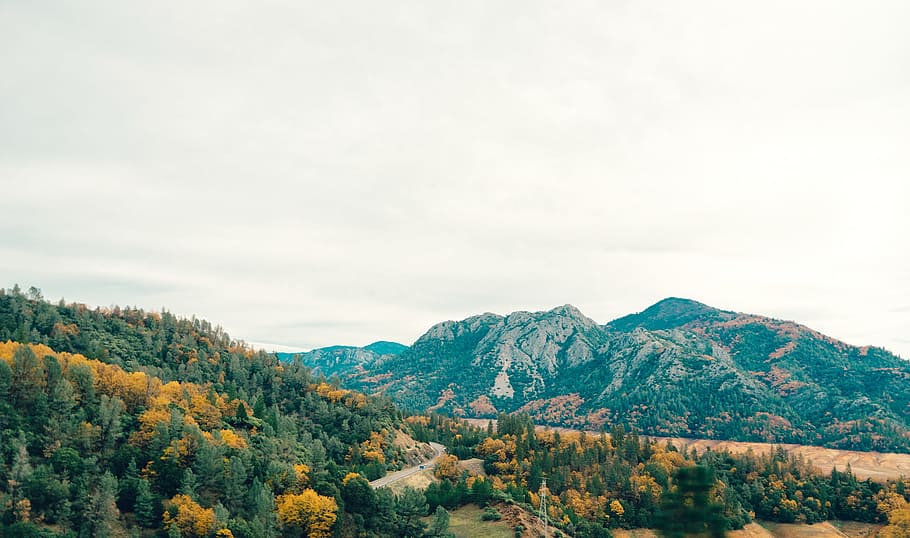 landscape, mountains, forest, hills, tree, beauty in nature, scenics - nature HD wallpaper