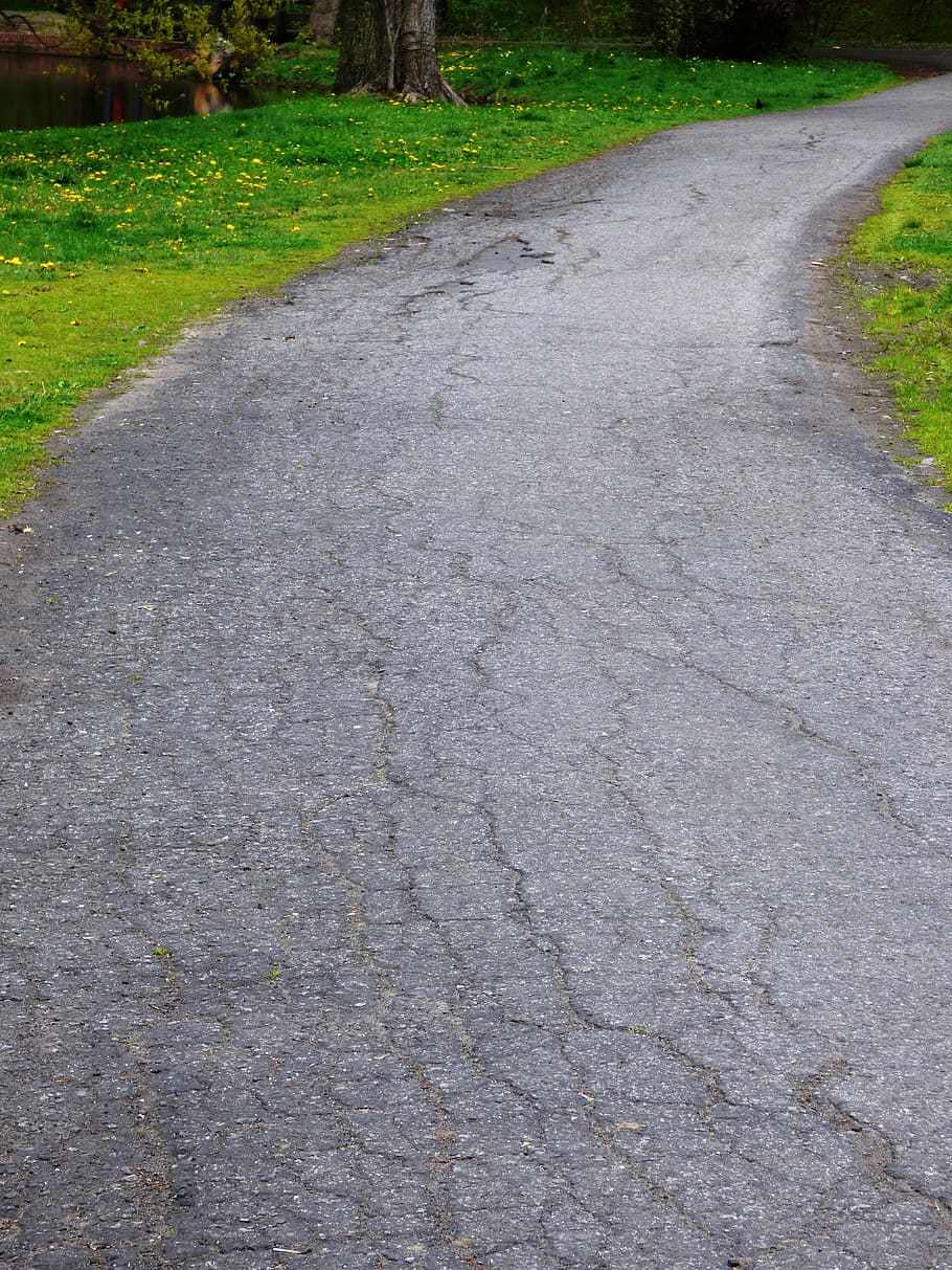 way, road, the path, lane, trail, nature, asphalt, grass, lawn HD wallpaper