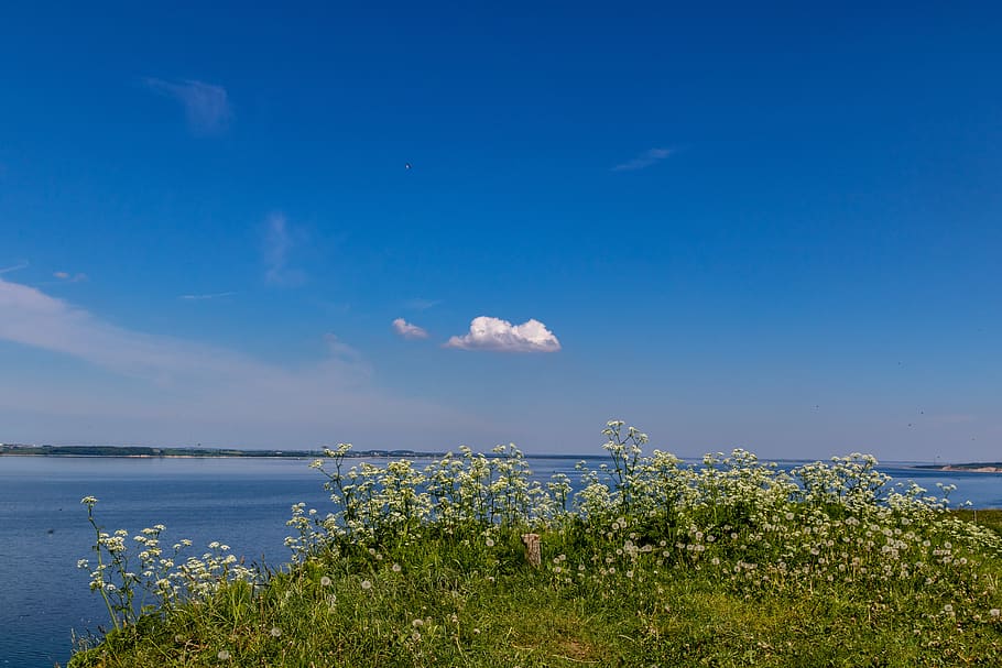 cloud, sky, blue, summer, sunshine, denmark, water, beauty in nature HD wallpaper