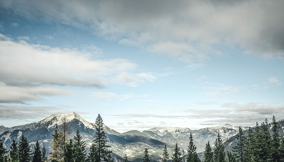tall trees near mountain under white sky, high-angle photography of snow covered mountain range under white clouded blue sky during daytime HD wallpaper