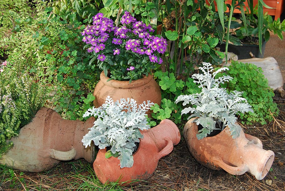 amphorae, terracotta, flowers, violet, white, vases, green, HD wallpaper