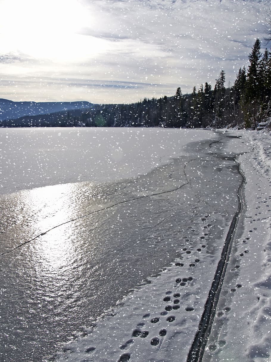 Winter, Scenery, Trees, Cold, Snow, landscape, frozen, lake HD wallpaper