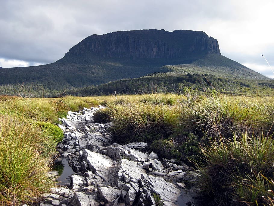 mountain, path, stones, nature, sky, plant, cloud - sky, beauty in nature HD wallpaper