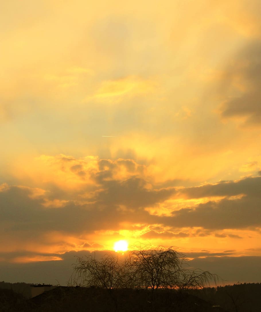 sunset, abendstimmung, sunbeam, tree, sky, cloud - sky, beauty in nature HD wallpaper