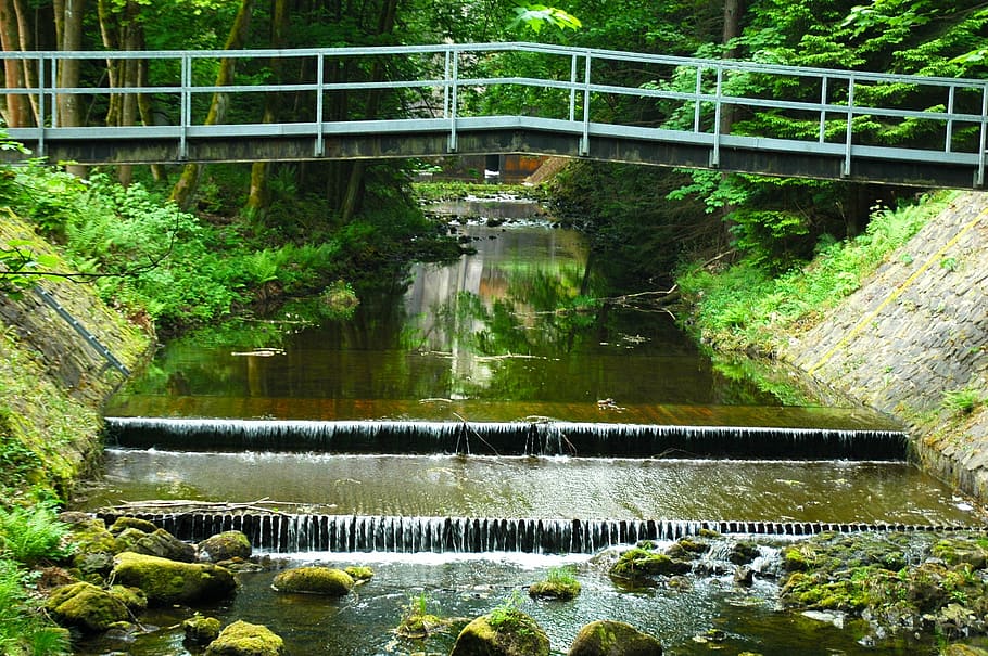 oker, bridge, water gradually, river, forest, nature, landscape HD wallpaper