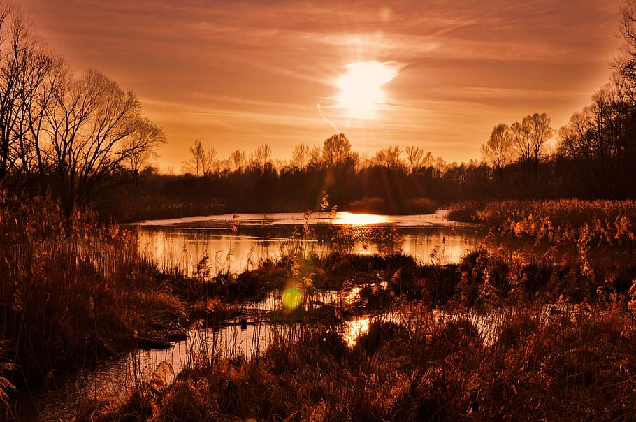 surreal, red, sunset, nature, evening, orange, still, water HD wallpaper