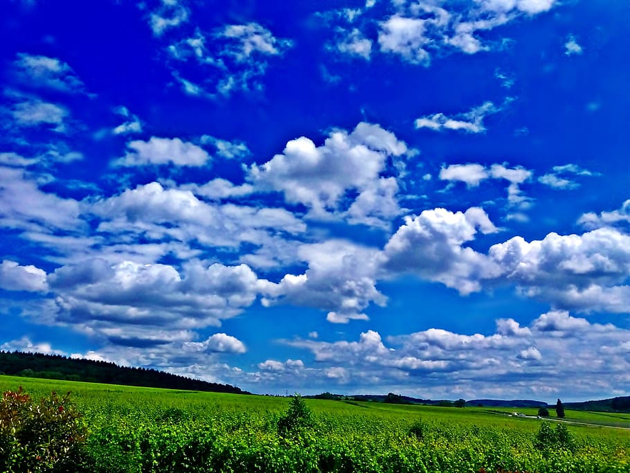 sky, blue, clouds, field, meadow, white, nature, cloud - sky HD wallpaper