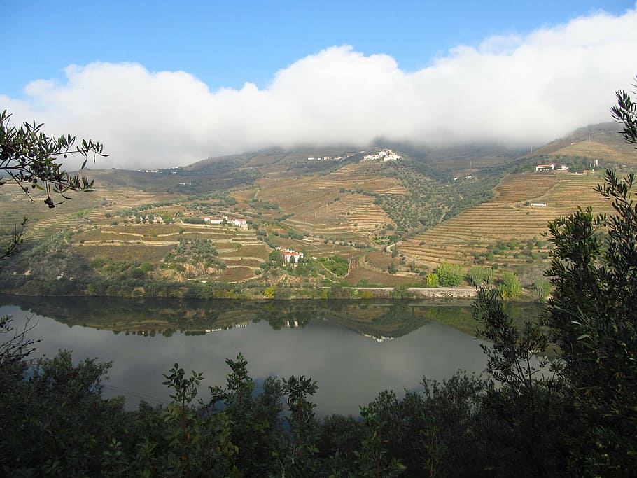 mountain under blue sky, portugal, valley, river, douro, nature
