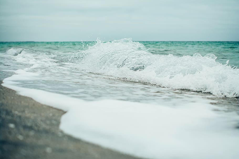 selective focus photographed of ocean wave, beach, shore, water HD wallpaper