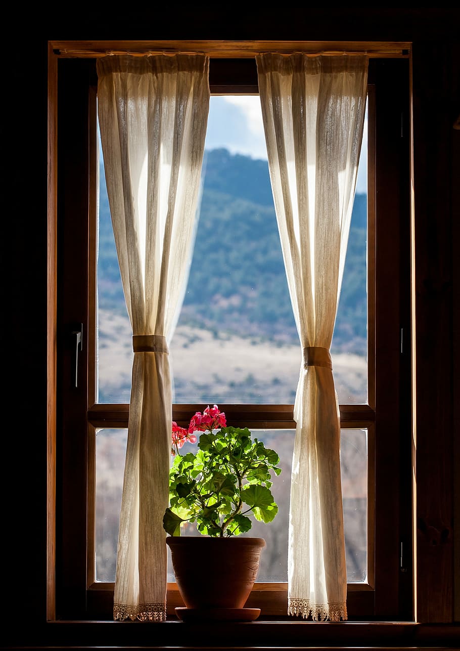 windows, house, room, interior, glass, old, light, color, tree HD wallpaper