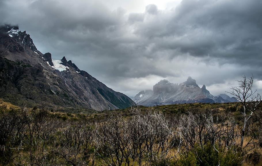 landscape photography of leafless trees near mountain range, brown mountain under gray clouds HD wallpaper
