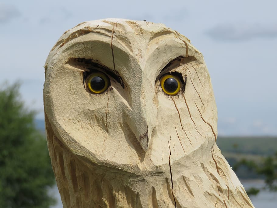 carved owl, wise, wood, carving, wisdom, nature, beak, bird, HD wallpaper