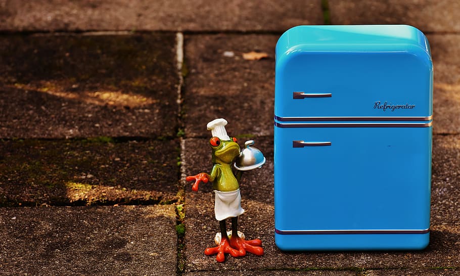 Frog, Cooking, Refrigerator, blue, figure, funny, frogs, cute HD wallpaper