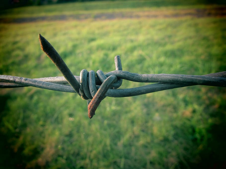 barbed wire, stainless, demarcation, close, safety, fence, protection HD wallpaper